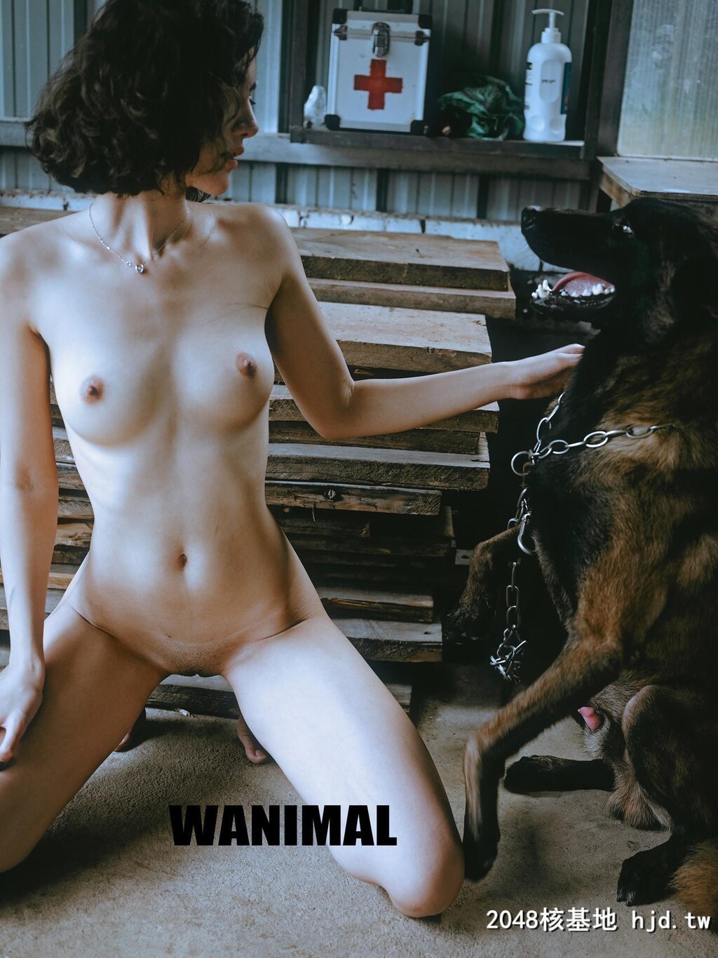 ［WANIMAL王动］Tumblr博客写真作品［50P］第一百一十八期[49P]第0页 作者:Publisher 帖子ID:125791 TAG:唯美图片,唯美清純,2048核基地