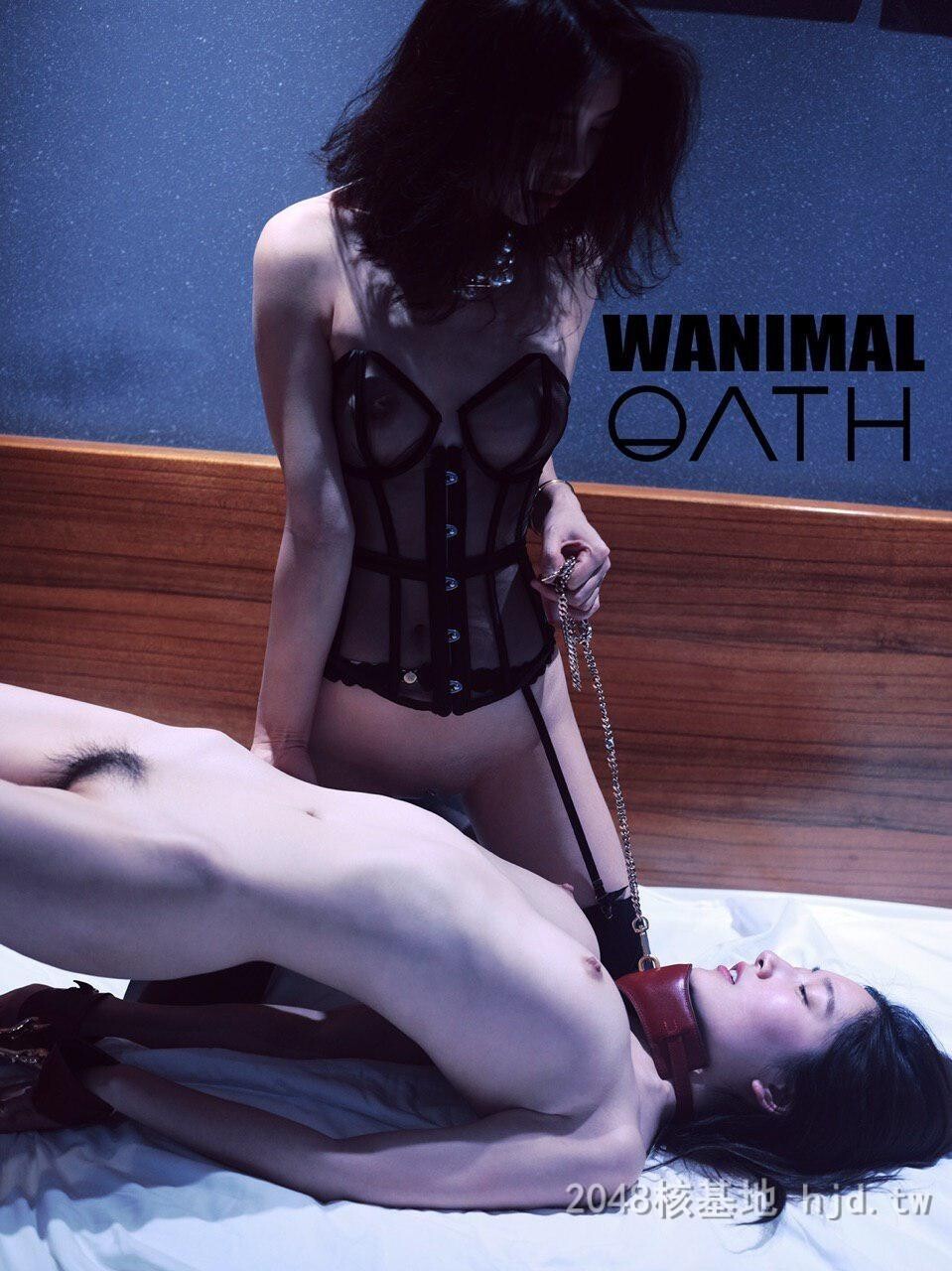 王动WANIMAL作品18[10p]第0页 作者:Publisher 帖子ID:273544 TAG:自拍图片,網友自拍,2048核基地