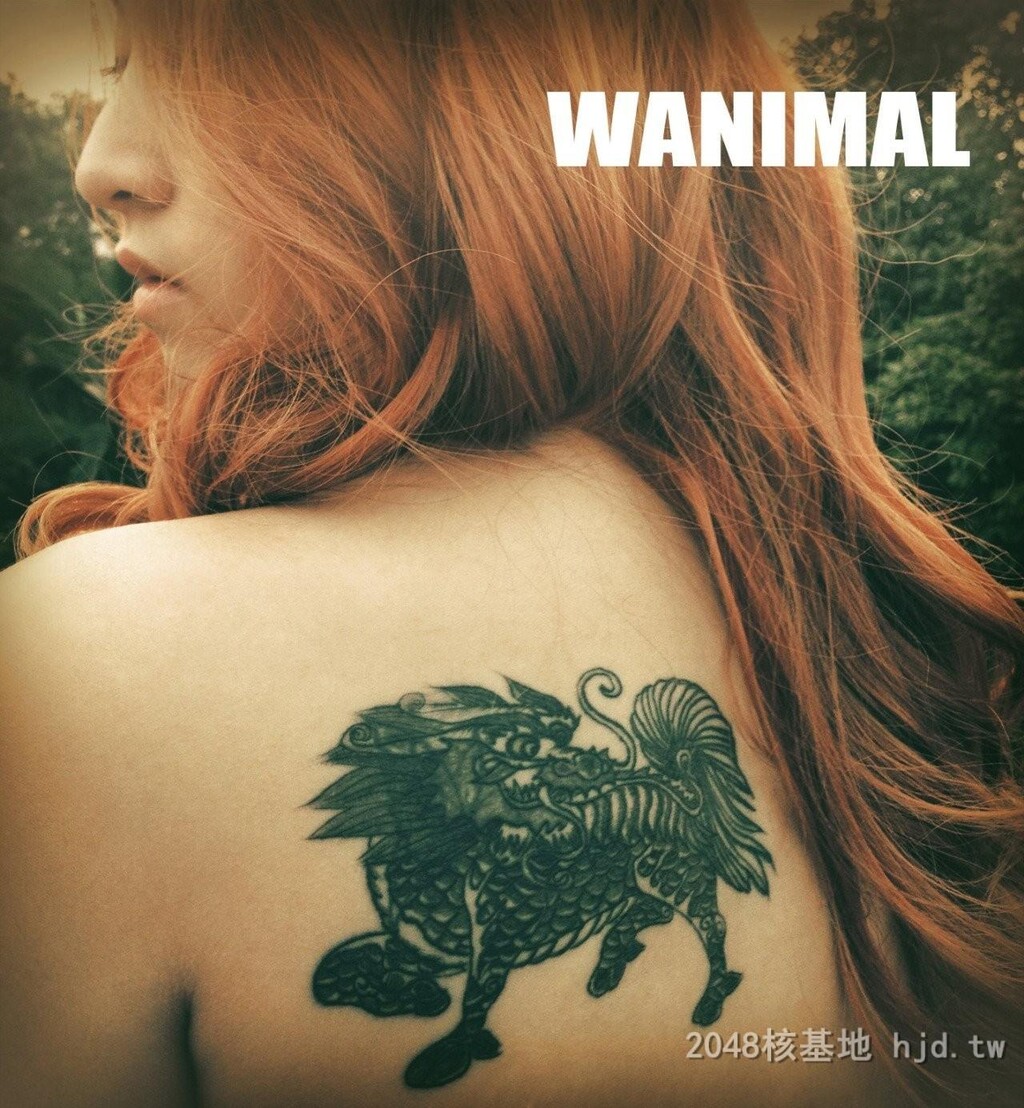 王动WANIMAL作品100[10p]第1页 作者:Publisher 帖子ID:273255 TAG:自拍图片,網友自拍,2048核基地