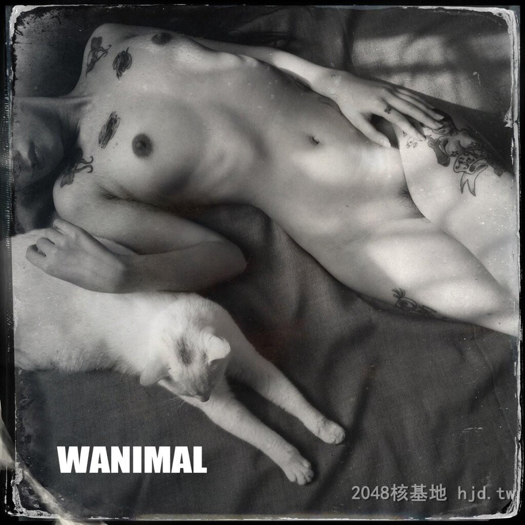 王动WANIMAL作品57[10p]第0页 作者:Publisher 帖子ID:273258 TAG:自拍图片,網友自拍,2048核基地