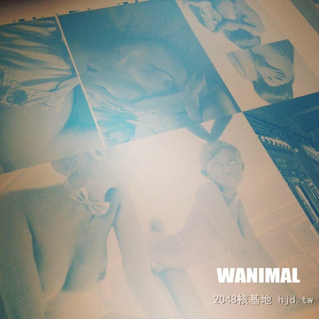 王动WANIMAL作品182[10p]第0页 作者:Publisher 帖子ID:286523 TAG:自拍图片,網友自拍,2048核基地