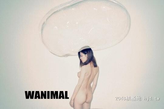 王动WANIMAL作品328[20p]第1页 作者:Publisher 帖子ID:283246 TAG:日本图片,亞洲激情,2048核基地