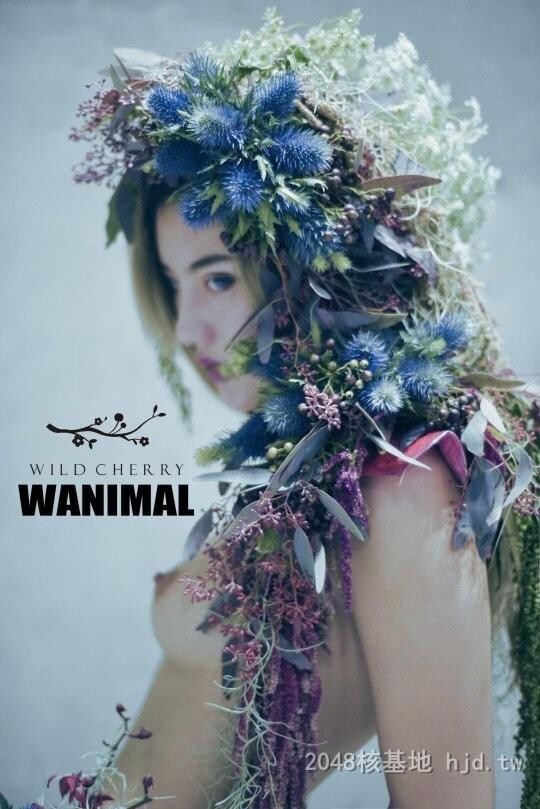 王动WANIMAL作品349[20p]第1页 作者:Publisher 帖子ID:284855 TAG:日本图片,亞洲激情,2048核基地